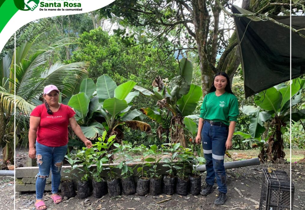 Boletín de prensa Fundación Santa Rosa